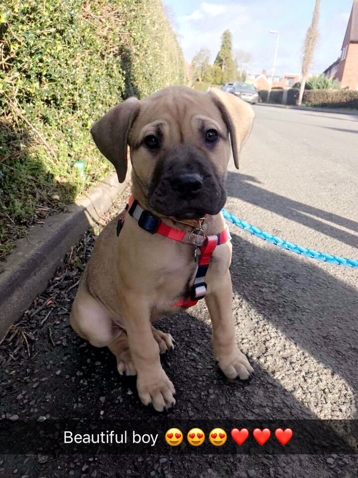 humperlumper humperlumper